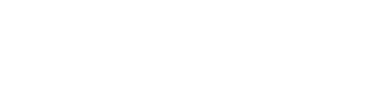 swissmindsports